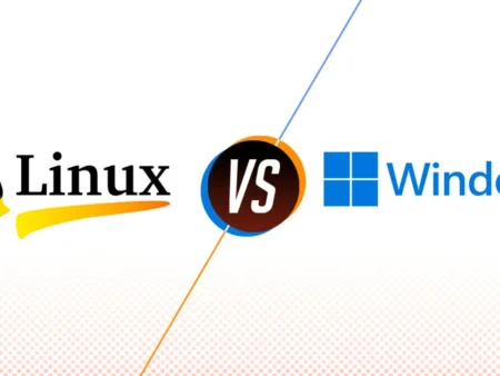 Linux hosting ve Windows hosting nedir?