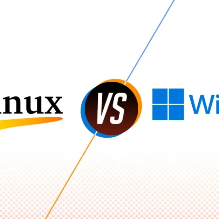 Linux hosting ve Windows hosting nedir?